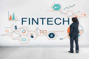 金融科技与科技金融分野 徐明星眼中的共生与差异——兼论科技中介服务的桥梁作用